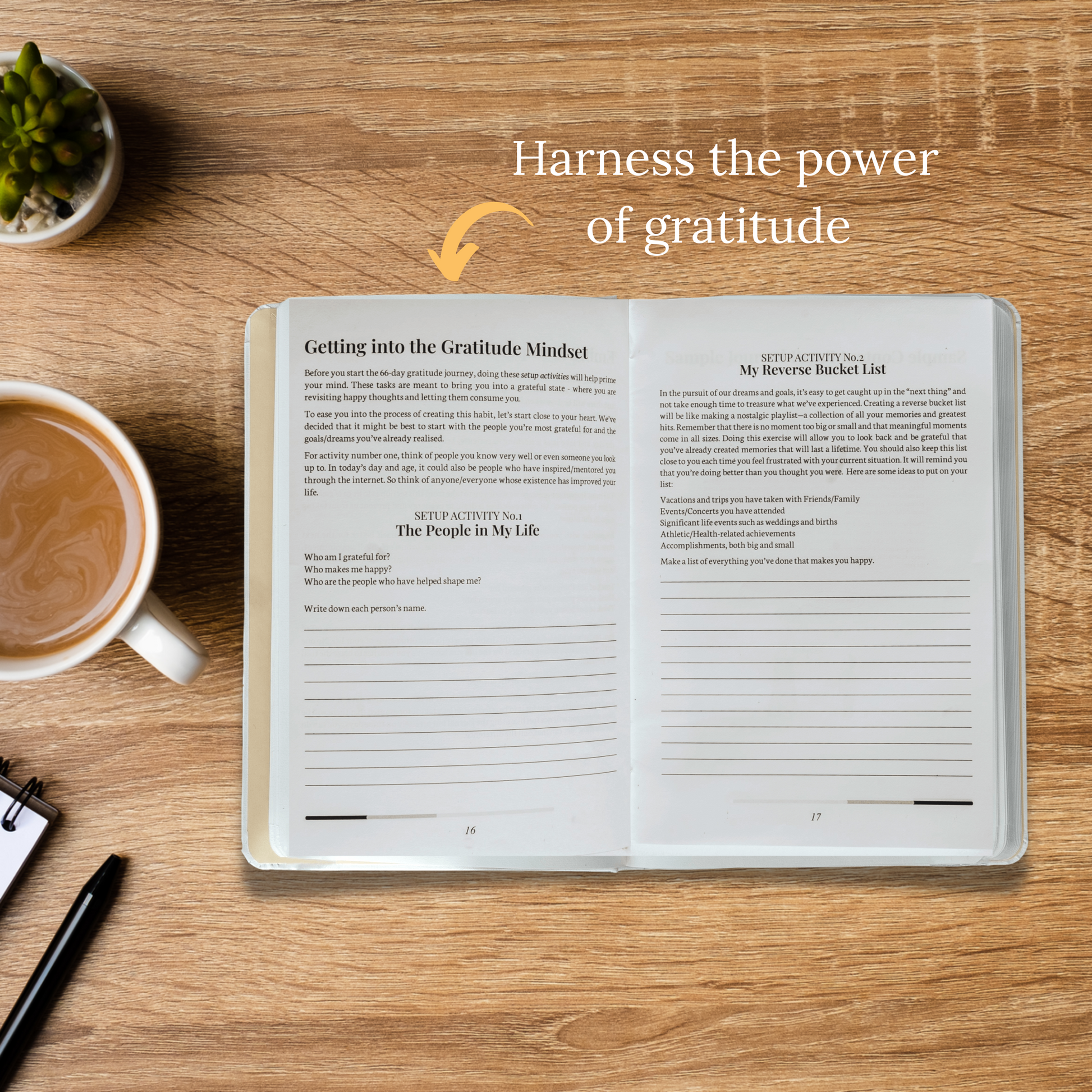 Harness the power of gratitude 
